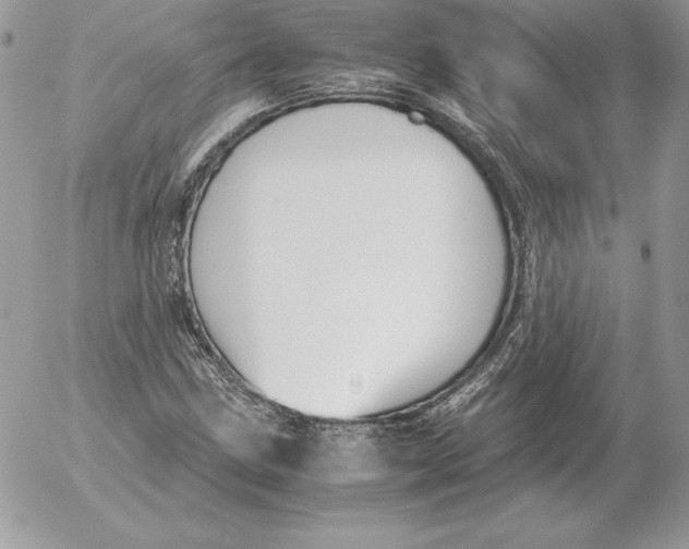 X0000052611211200507221650