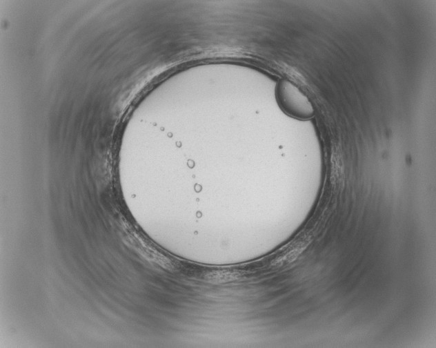 X0000052611212200507221650