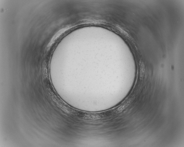 X0000052611215200507221651