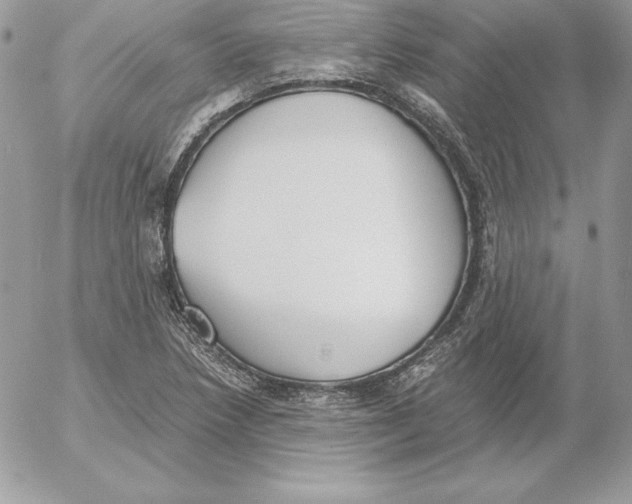 X0000052611218200507221651