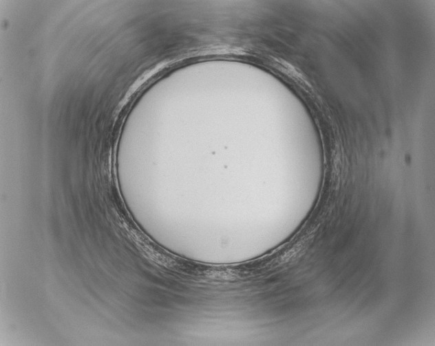 X0000052611220200507221651