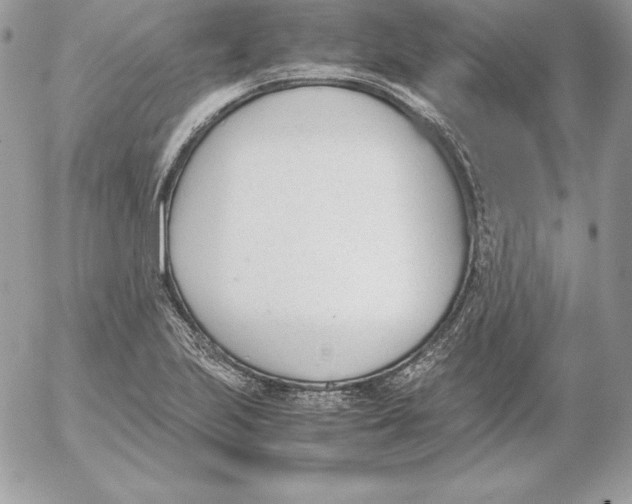 X0000052611223200507221651