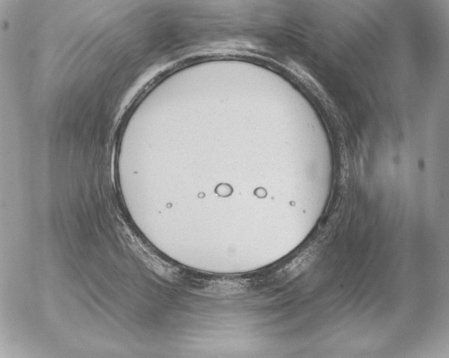 X0000052611224200507221651