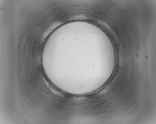 X0000052611225200507221651