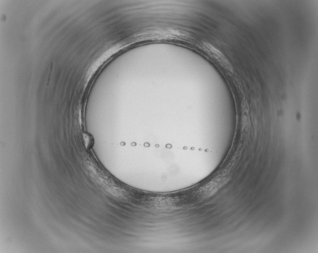 X0000052611226200507221651