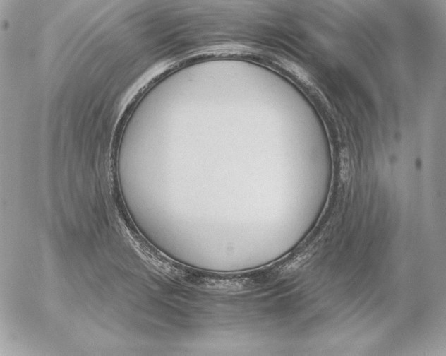 X0000052611229200507221651