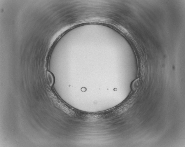 X0000052611230200507221651