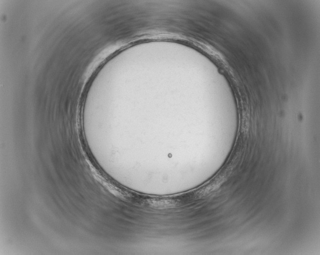 X0000052611231200507221651