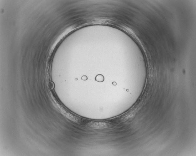 X0000052611235200507221651