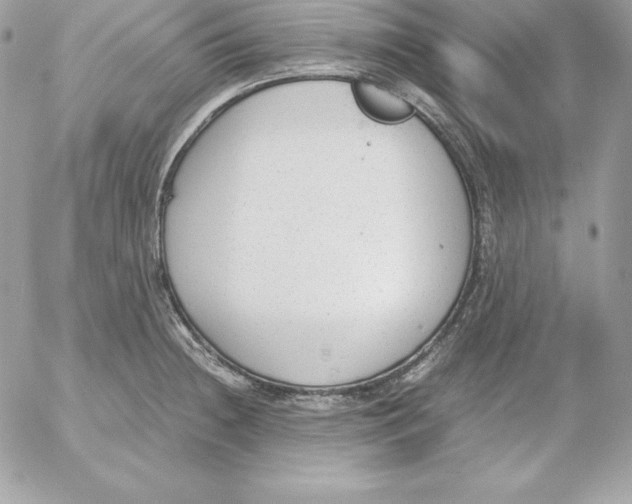 X0000052611236200507221651