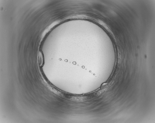 X0000052611237200507221651