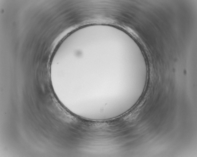 X0000052611238200507221651