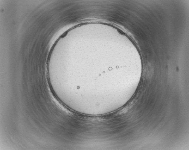 X0000052611239200507221651