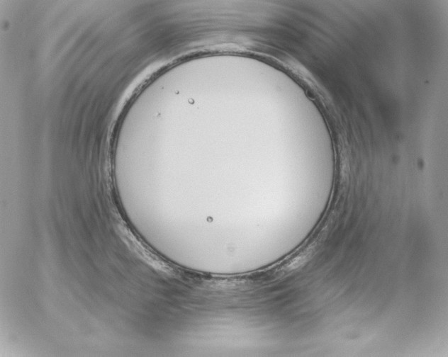 X0000052611240200507221651