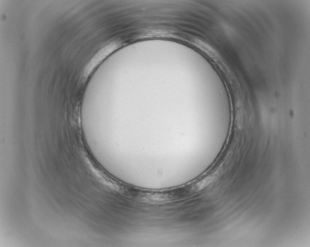 X0000052611241200507221651