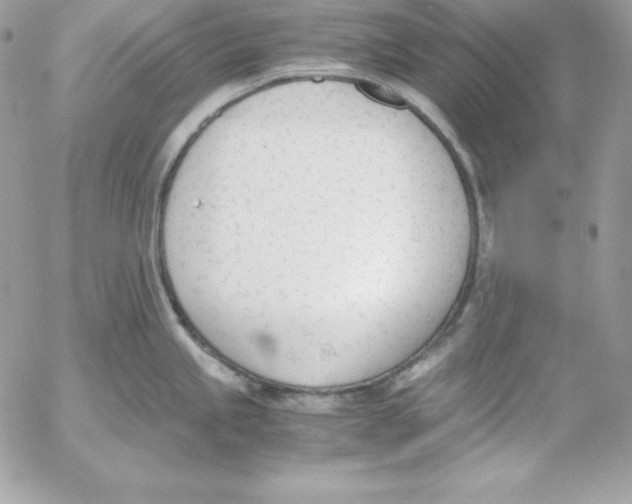 X0000052611245200507221651