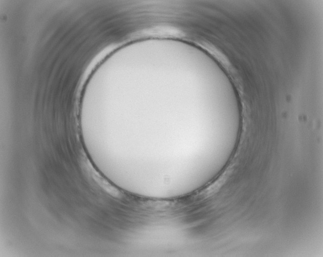 X0000052611248200507221651