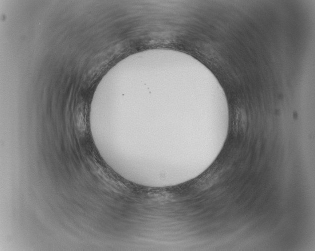 X0000052611250200507221650