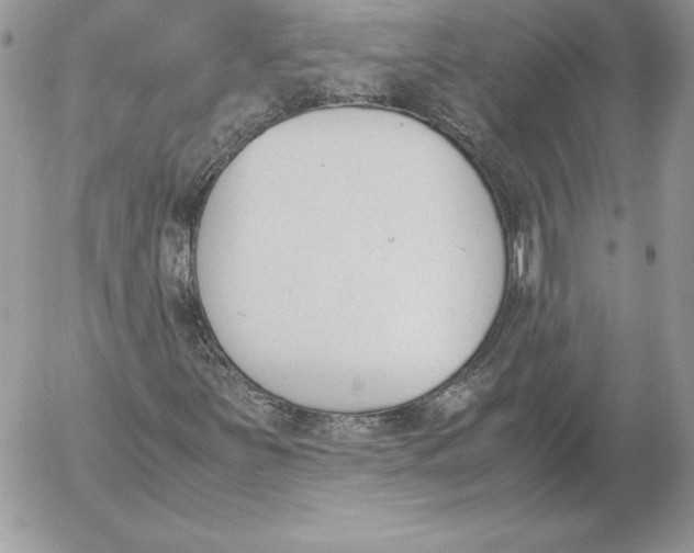 X0000052611251200507221650