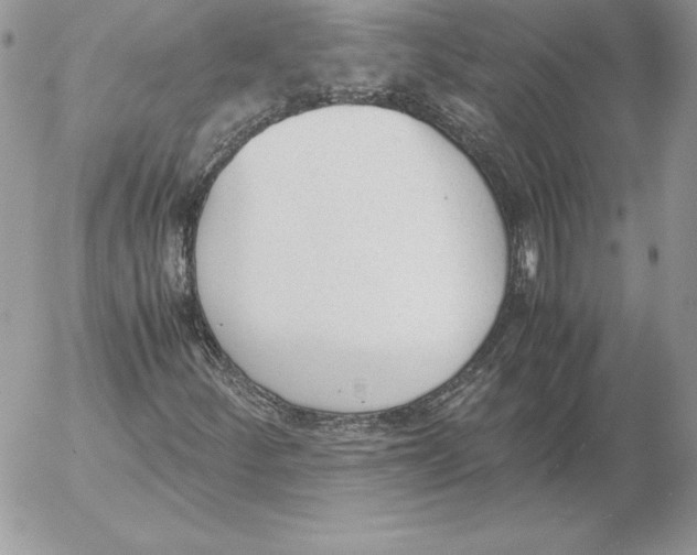 X0000052611252200507221650