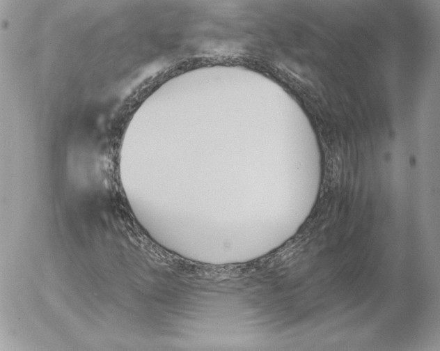 X0000052611254200507221650