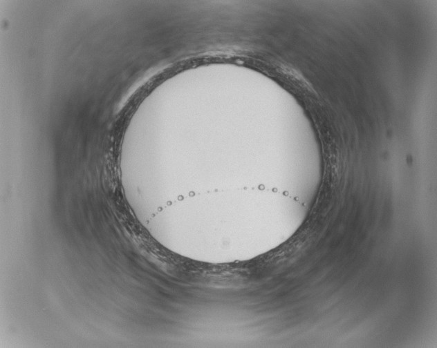 X0000052611256200507221650