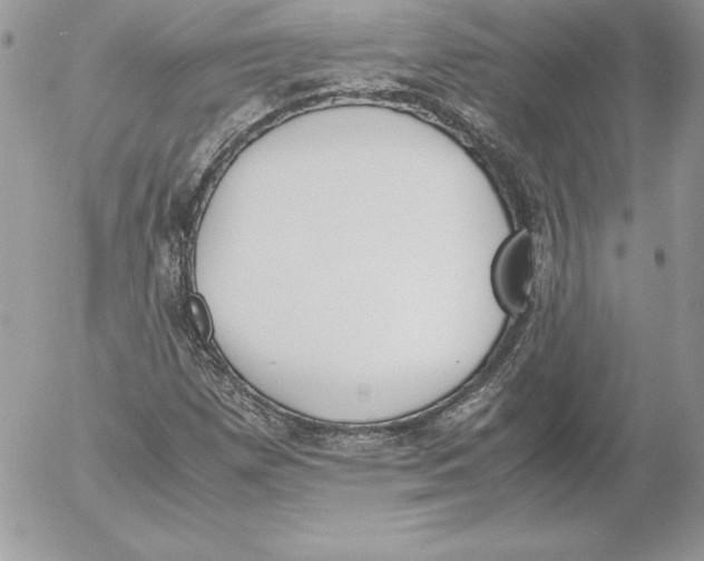 X0000052611257200507221650