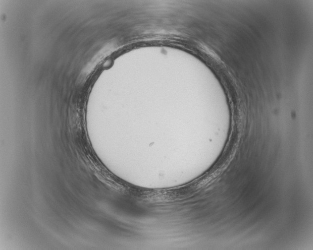 X0000052611259200507221650