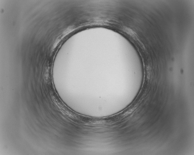 X0000052611260200507221650