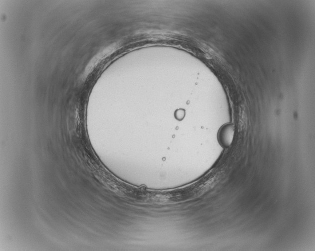 X0000052611261200507221650