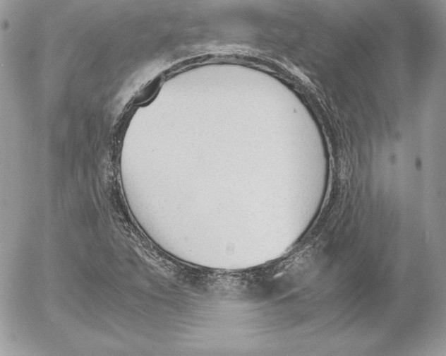 X0000052611263200507221650