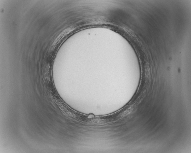 X0000052611265200507221650