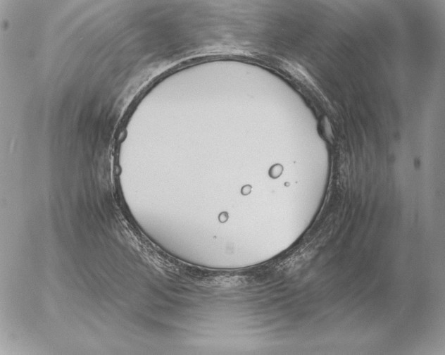 X0000052611268200507221650