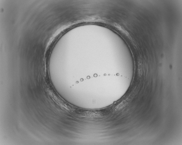 X0000052611270200507221650