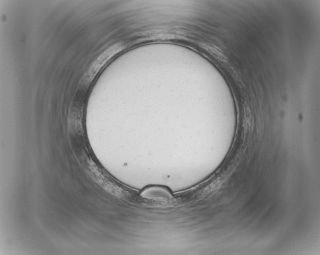 X0000052611273200507221650