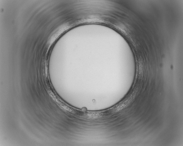 X0000052611274200507221650