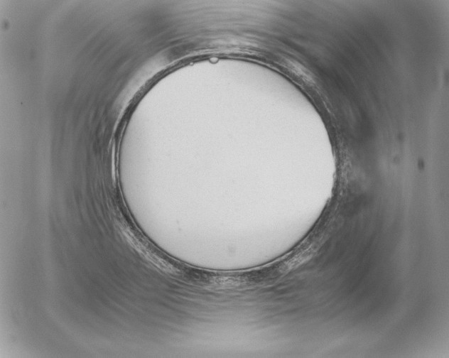 X0000052611275200507221650