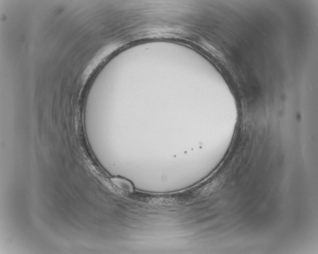 X0000052611277200507221650