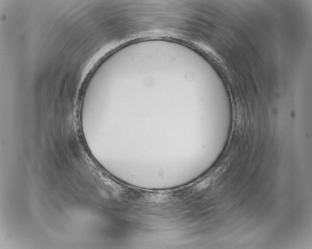 X0000052611278200507221650