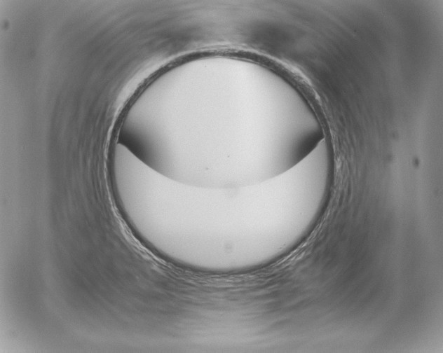 X0000052611279200507221650