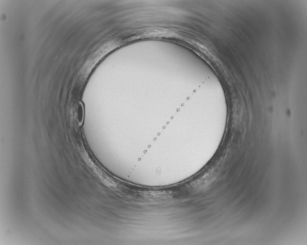 X0000052611281200507221650