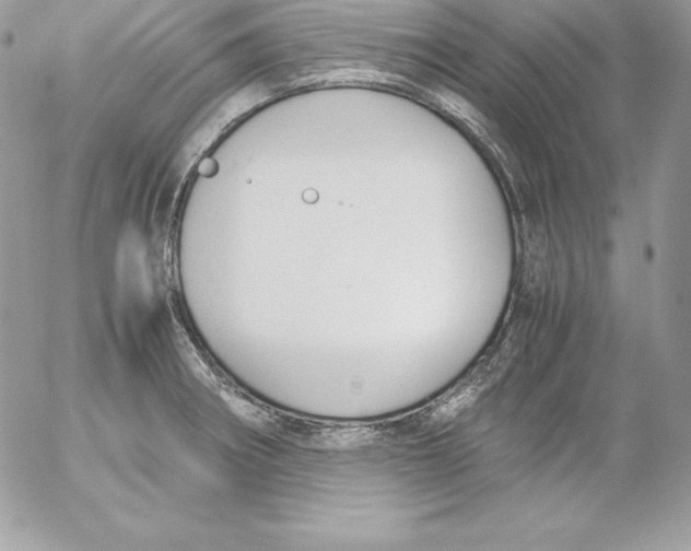 X0000052611282200507221650