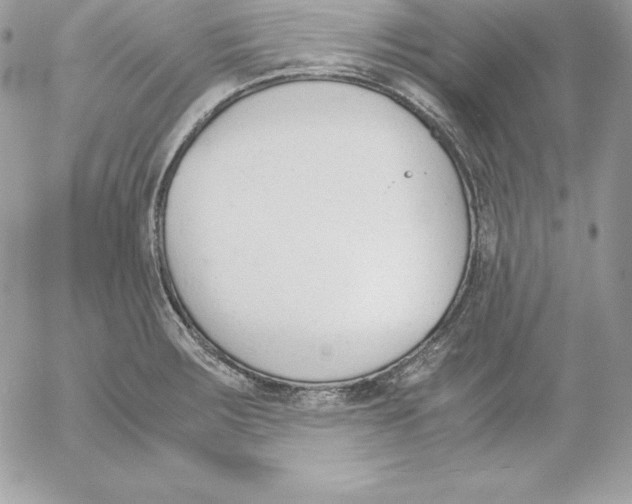 X0000052611283200507221650