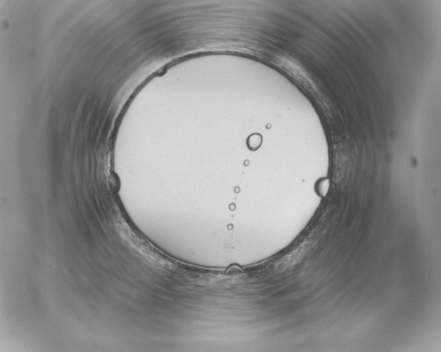 X0000052611284200507221650