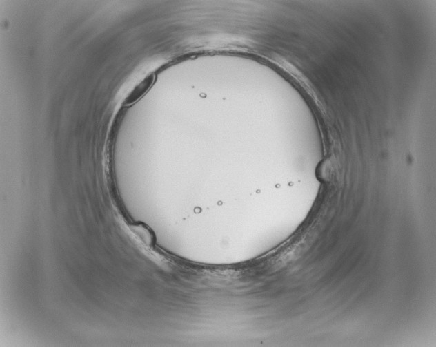 X0000052611285200507221650