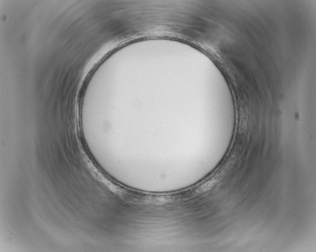 X0000052611286200507221650