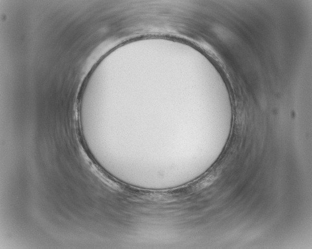 X0000052611287200507221650