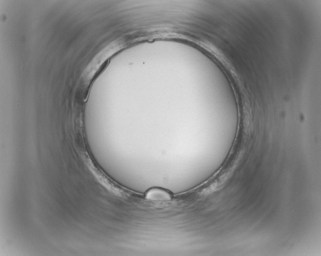 X0000052611289200507221650