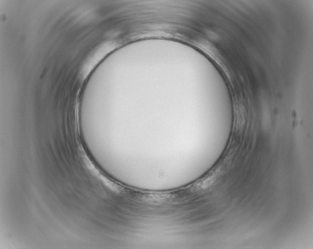 X0000052611290200507221650