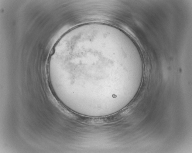 X0000052611291200507221650